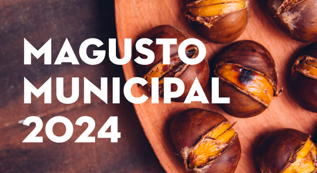 cmst_magustom24_thumbnail