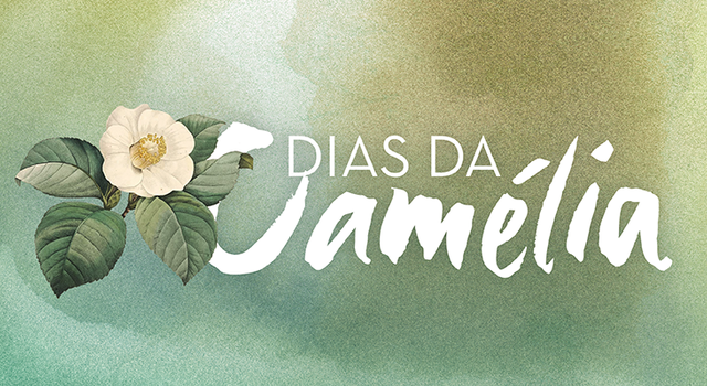 cmst_camelias_thumbnail_740x400