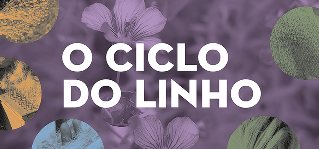 cmst_o_linho25_thumbnail