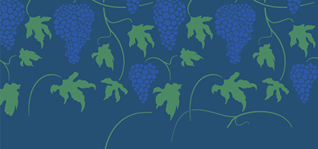 cmst_caminhvindimas25_thumbnail