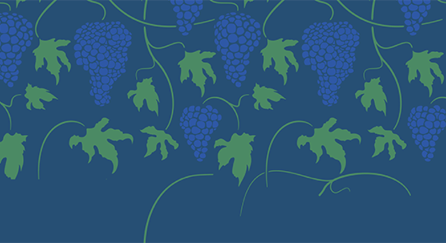 cmst_caminhvindimas25_thumbnail