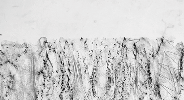 cmst__nunohenrique_thumbnail_535x290