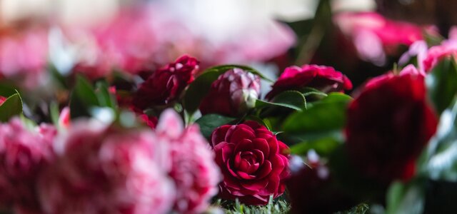 fotografia_de_arquivo_02