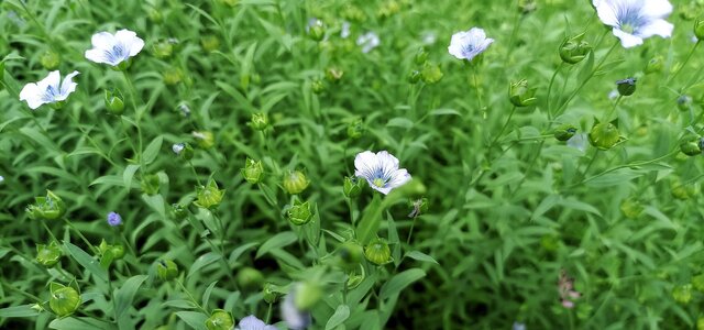 fotografia_de_arquivo