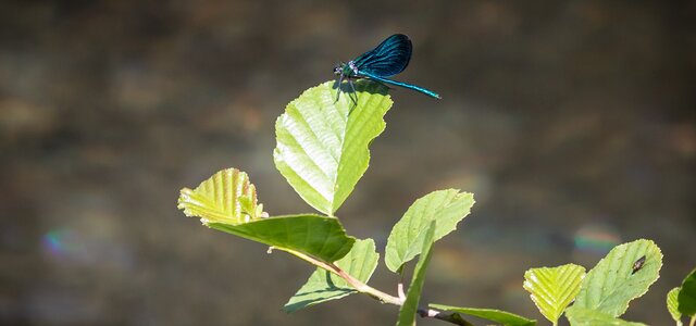 fotografia_de_arquivo