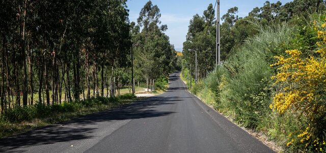 intervencao_em_vilarinho