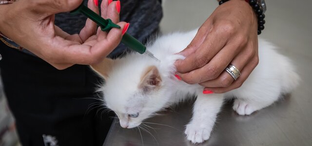 fotografia_de_arquivo