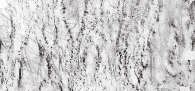 exposicaonunohenrique