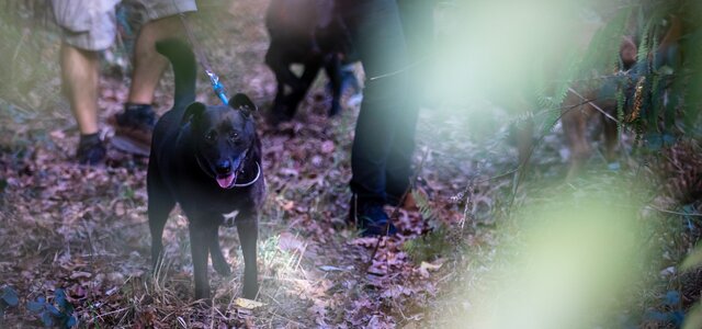 fotografia_caminhada