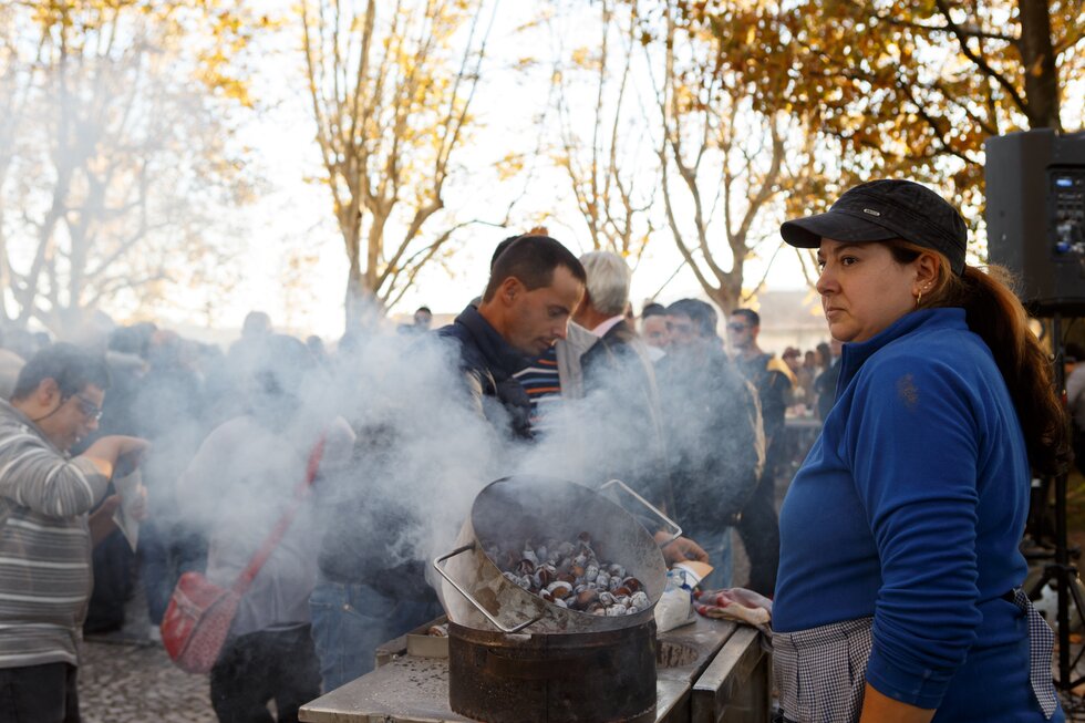 Magusto Municipal (5)