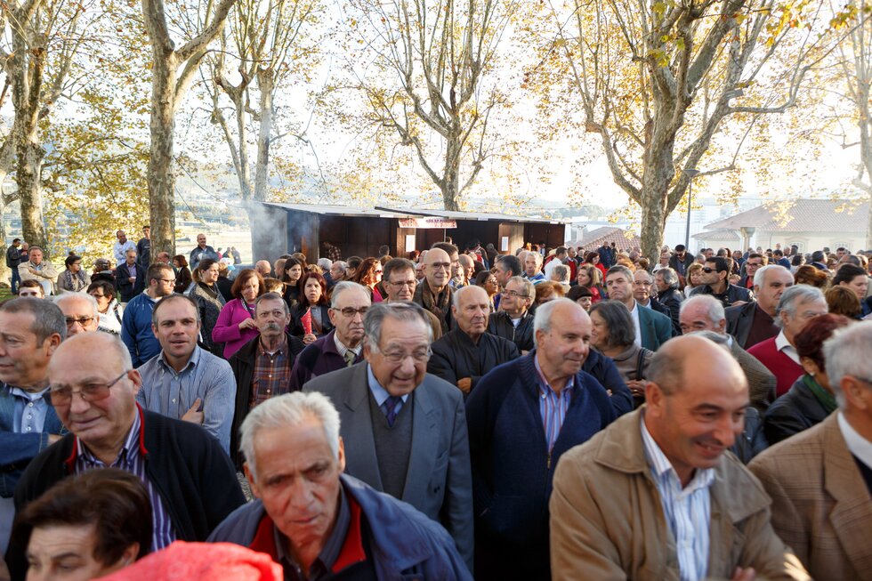 Magusto Municipal (1)