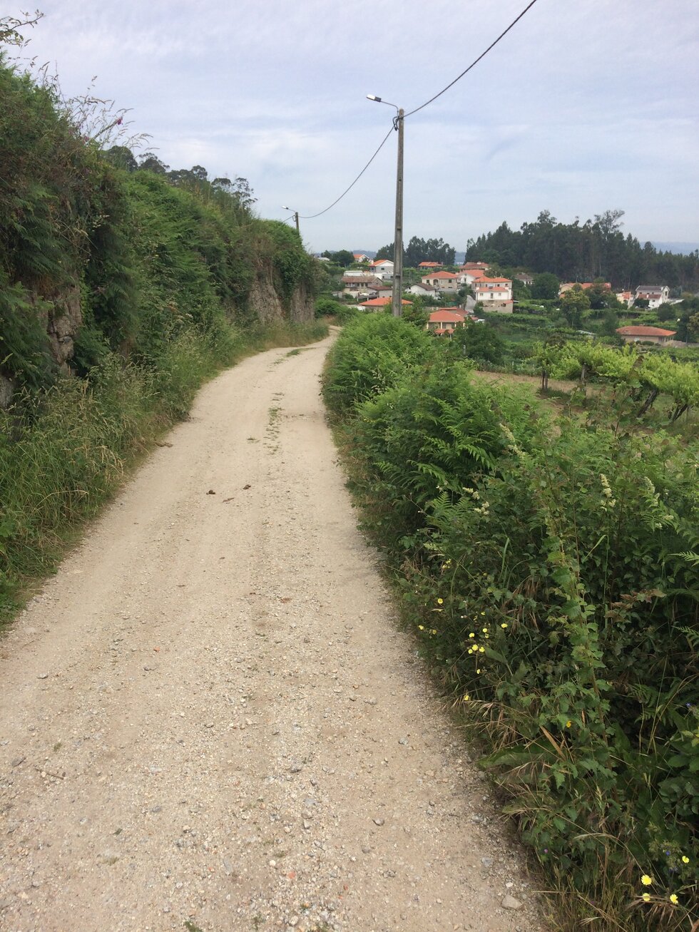 Antes da interven&ccedil;&atilde;o (2)