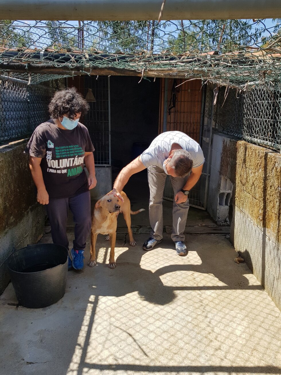 A C&acirc;mara de Santo Tirso tem prestado apoio &agrave;s diversas associa&ccedil;&otilde;es (1)