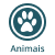 animais permitido