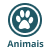 animais_permitido_1_100_100_1_100_100